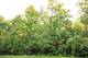 802 Echo (Lot 23), Marengo, IL 60152