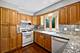 6101 Bentley, Willowbrook, IL 60527