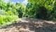 1811 IL Rte 25 (Elgin), Barrington, IL 60010