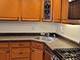 15608 Rob Roy, Oak Forest, IL 60452