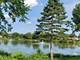 15608 Rob Roy, Oak Forest, IL 60452