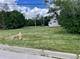 600 E Armitage, Addison, IL 60101