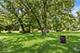 6415 N Shore, Spring Grove, IL 60081