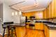 1212 N Wells Unit 1105, Chicago, IL 60610