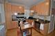 1253 W Thorndale Unit 1, Chicago, IL 60660