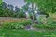 1005 N Greenfield, Mount Prospect, IL 60056