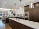 1038 N Orleans, Chicago, IL 60610