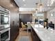 1038 N Orleans, Chicago, IL 60610