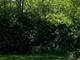 14608 Highland, Orland Park, IL 60462