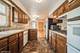 1045 E Thacker, Des Plaines, IL 60016