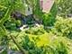 225 Hamilton, Evanston, IL 60202