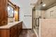 316 Elizabeth, Geneva, IL 60134