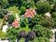 316 Elizabeth, Geneva, IL 60134