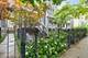 4423 N Greenview Unit A, Chicago, IL 60640