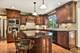 883 Interlaken, Lake Zurich, IL 60047