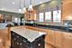 10852 Cardinal Lake, Frankfort, IL 60423