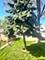 5420 W 24th, Cicero, IL 60804