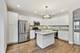 2733 Langley, Glenview, IL 60026