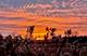 403 Harvest Gate, Lake In The Hills, IL 60156