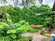 308 Sheldon, Downers Grove, IL 60515