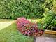 308 Sheldon, Downers Grove, IL 60515