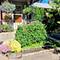 308 Sheldon, Downers Grove, IL 60515