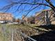 XXXXX W Cermak, Chicago, IL 60623
