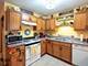 1157 Baccarrat, Joliet, IL 60431