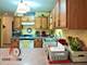 1157 Baccarrat, Joliet, IL 60431
