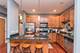 2239 N Lister Unit 401, Chicago, IL 60614