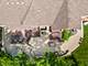 846 Wellner, Naperville, IL 60540