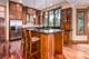 846 Wellner, Naperville, IL 60540