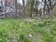 7151 S Champlain, Chicago, IL 60619