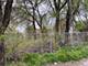 7151 S Champlain, Chicago, IL 60619