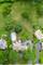 6N289 E Ridgewood, St. Charles, IL 60175