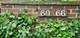 60 E Center Unit 60, Lake Bluff, IL 60044