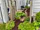 9 Richmond, La Grange Park, IL 60526