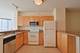222 N Columbus Unit 3910, Chicago, IL 60601