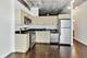 1620 S Michigan Unit 309, Chicago, IL 60616