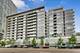 1620 S Michigan Unit 309, Chicago, IL 60616