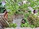 1533 Dempster, Evanston, IL 60201
