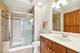 190 W Johnson Unit 407, Palatine, IL 60067