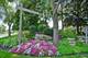 42 Durham, Burr Ridge, IL 60527