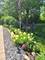 1331 Davey, Batavia, IL 60510
