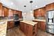 3839 Mandeville, Naperville, IL 60564