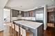 800 N Michigan Unit 4702, Chicago, IL 60611
