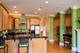 2038 W Cortland, Chicago, IL 60647