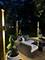 1660 White Pines, Naperville, IL 60563