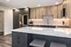 300 Thames Unit 1K, Park Ridge, IL 60068