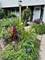 1164 Mill Creek, Buffalo Grove, IL 60089